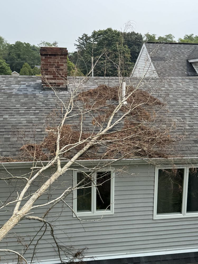 Storm Clean-up for Robery's Tree Service in West Wareham, MA