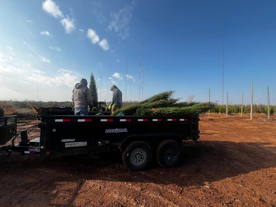 All Photos for Urban Lawn & Landscape in Oklahoma City, OK