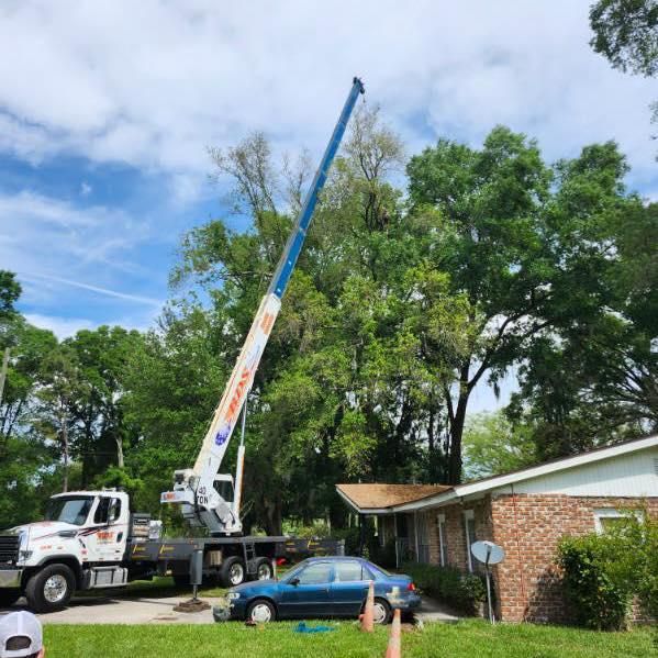 All Photos for Top Notch Tree Experts in Orange Park, FL