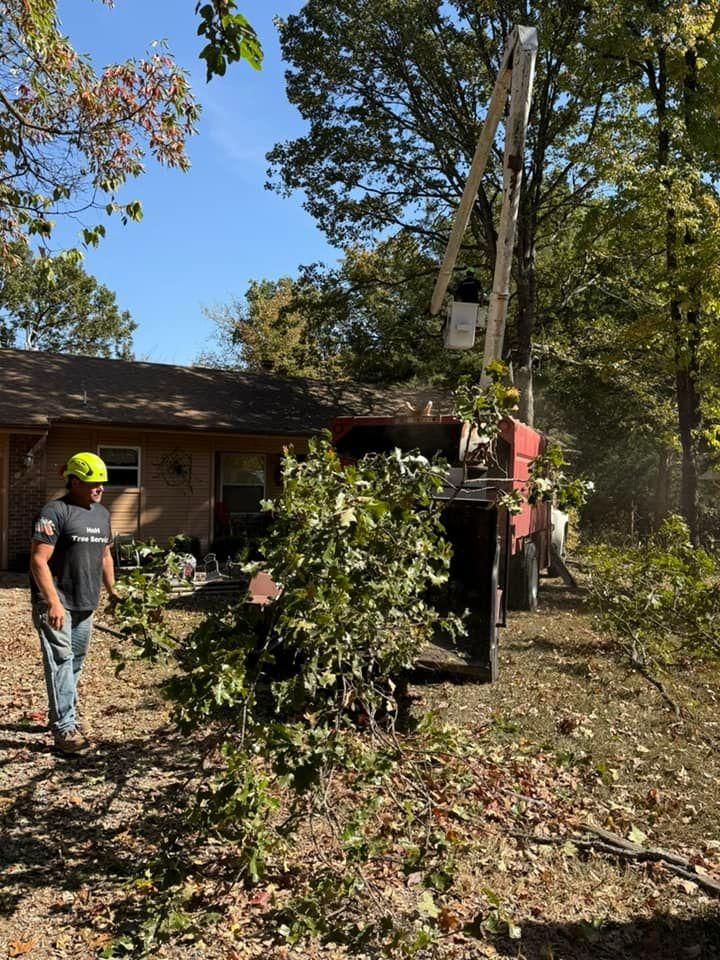 All Photos for H n H Tree Service in Taneyville, MO