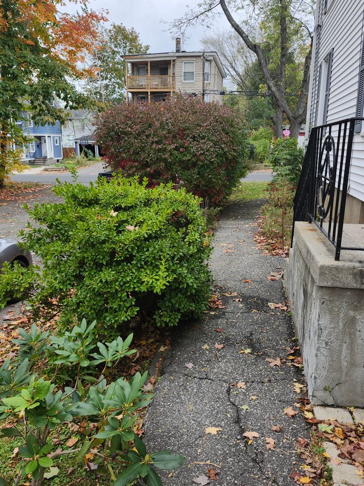 All Photos for Landscape Innovations LLC in Torrington, CT