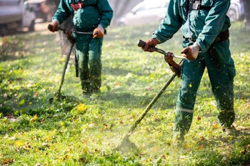 All Photos for JB Enterprise Lawn Care and Snow Removal in Janesville, WI