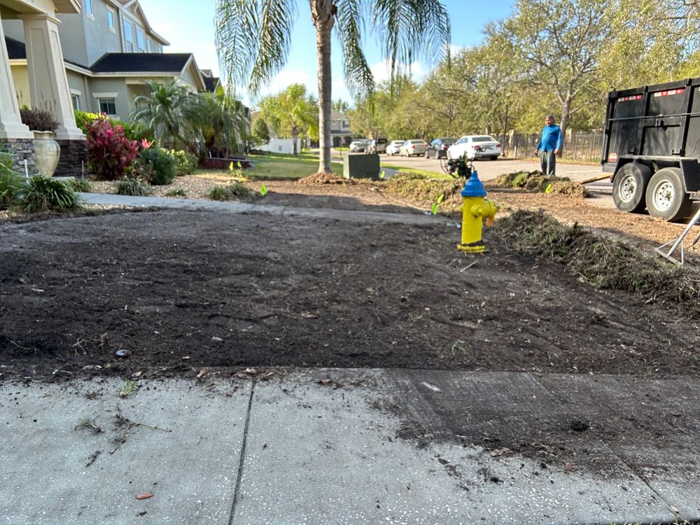 All Photos for Gulf Bay Sod in Clearwater, FL