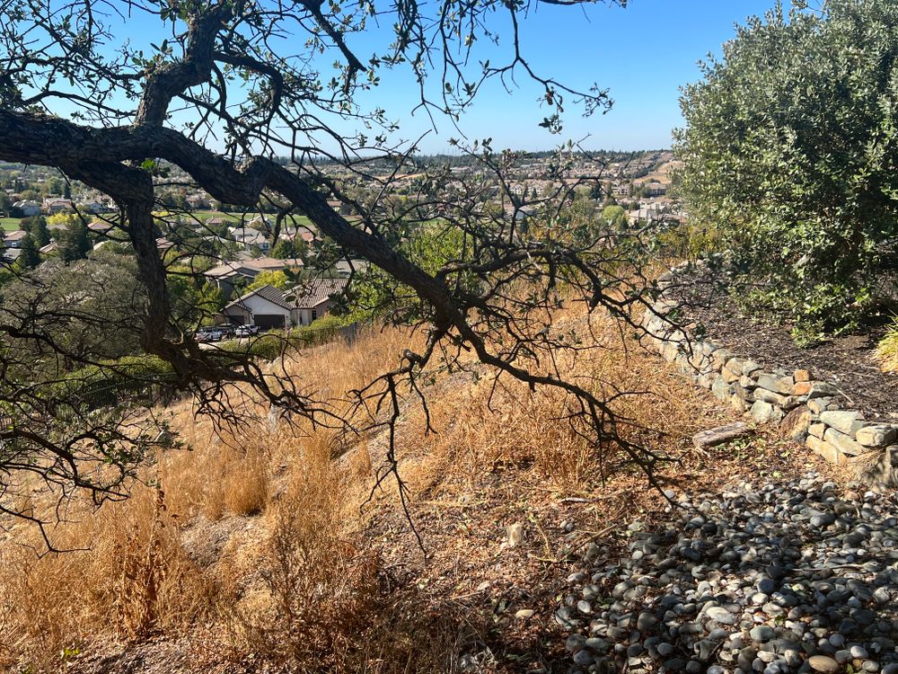 CLEAN UPS for Folsom Lake Landscaping in El Dorado Hills, CA