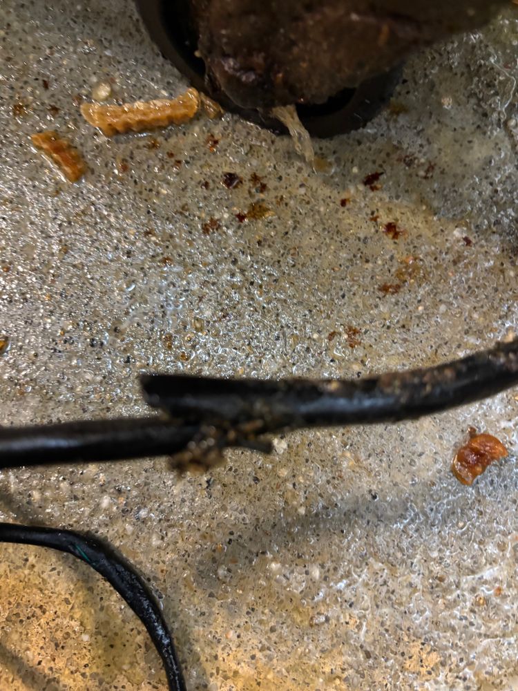 All Photos for Electrical Power Design in Concord, NC