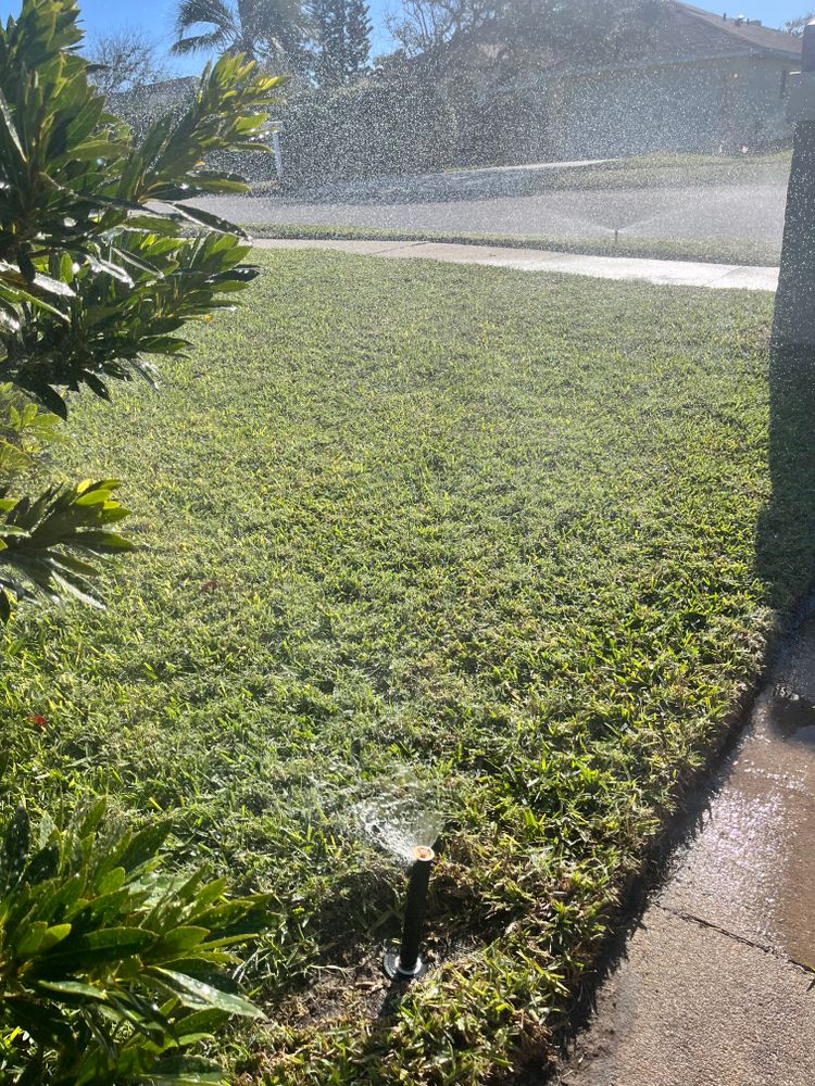 All Photos for The Sprinkler Lady in Port Orange, FL