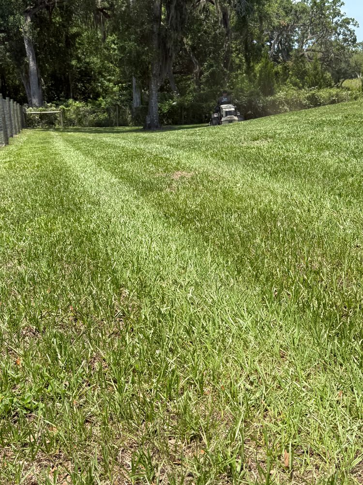 All Photos for Top Gun Lawn Care in Citrus County, FL
