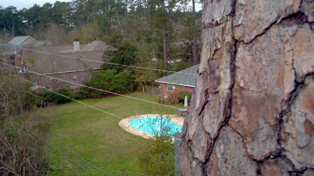 Tree Removal for David's Tree Service in Slidell, LA