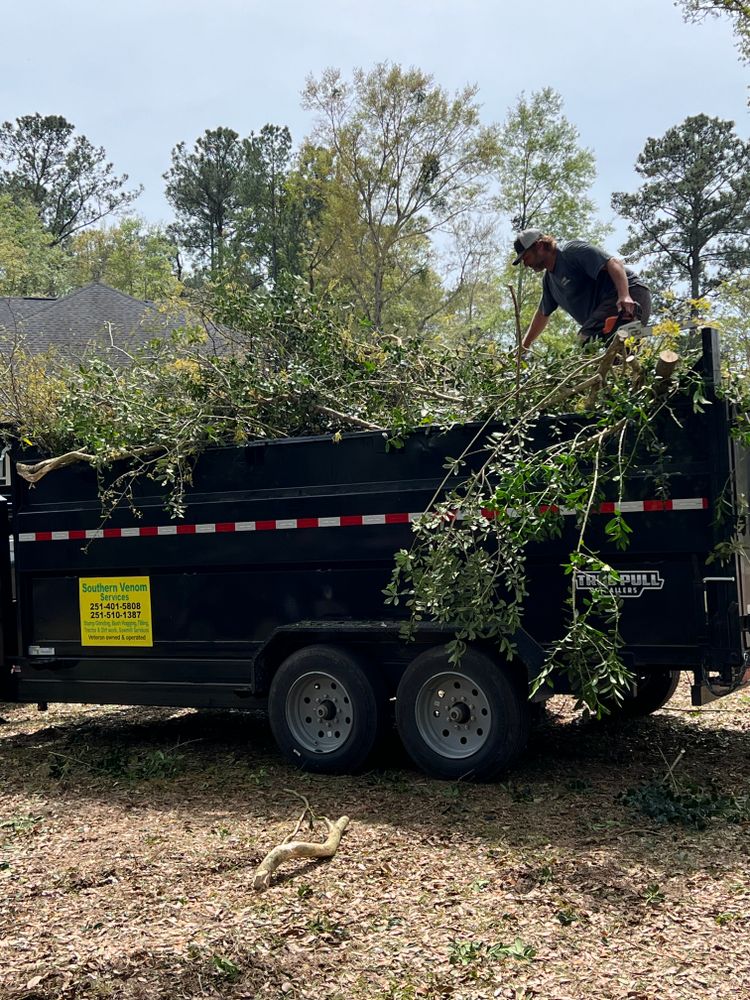 Our Debris Cleanup and Haul Off service efficiently removes tree remnants, ensuring your property is clean and tidy, providing a hassle-free experience while enhancing the beauty and safety of your home. for Southern Venom Services in Daphne, AL