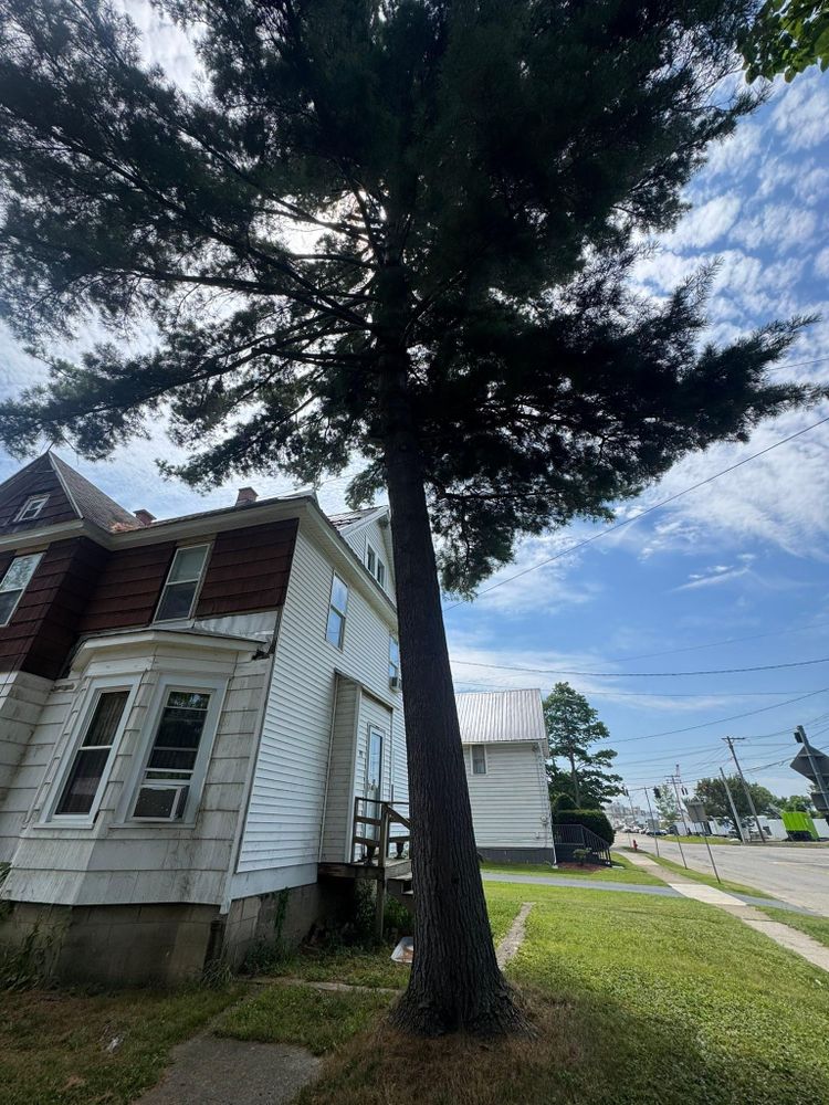 All Photos for Harpers Landscaping in Fredonia, NY