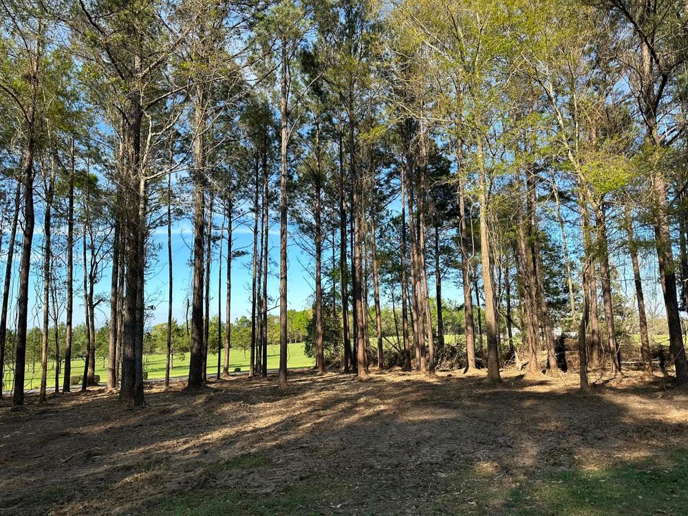 Dirt Work is a service that helps homeowners clear and prepare land for projects such as new construction, landscaping, and other outdoor activities. It provides an efficient solution to get the job done quickly. for White’s Land Maintenance in Milton,, FL