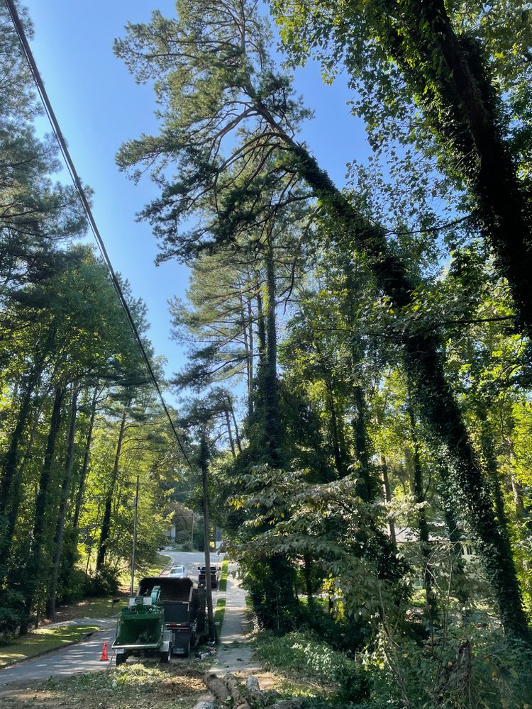 Tree Removal for Ace Tree Service  in Fuquay-Varina, NC