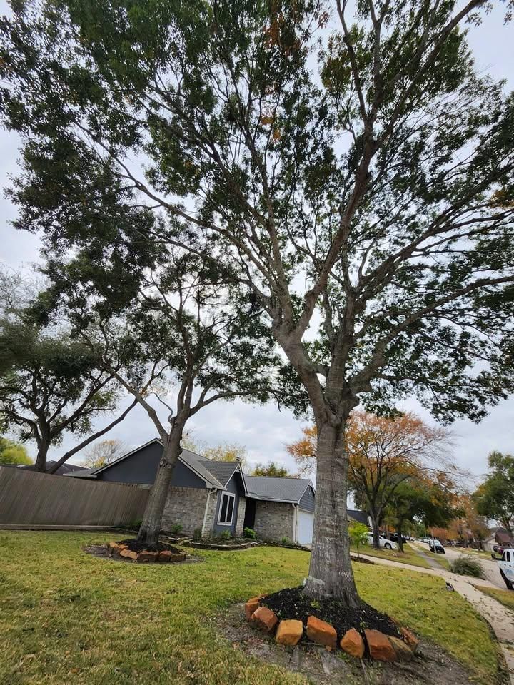 All Photos for Bonita Bay Lawn Maintenance LLC in La Porte, TX