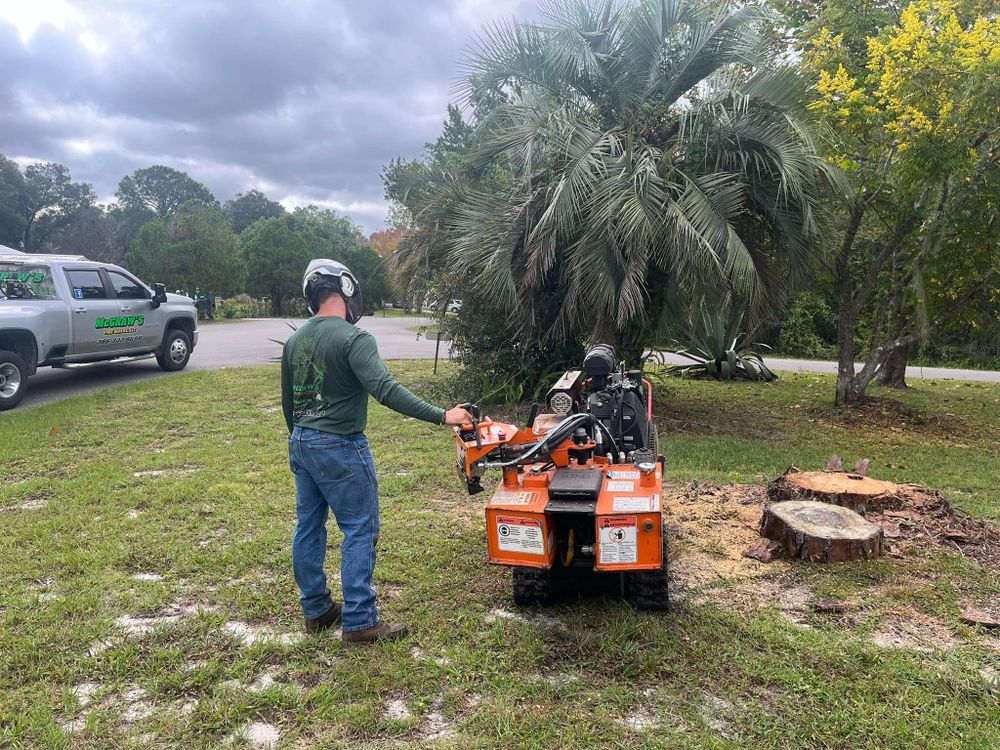 All Photos for McGraw’s Lawn and Tree Service in DeLand, FL