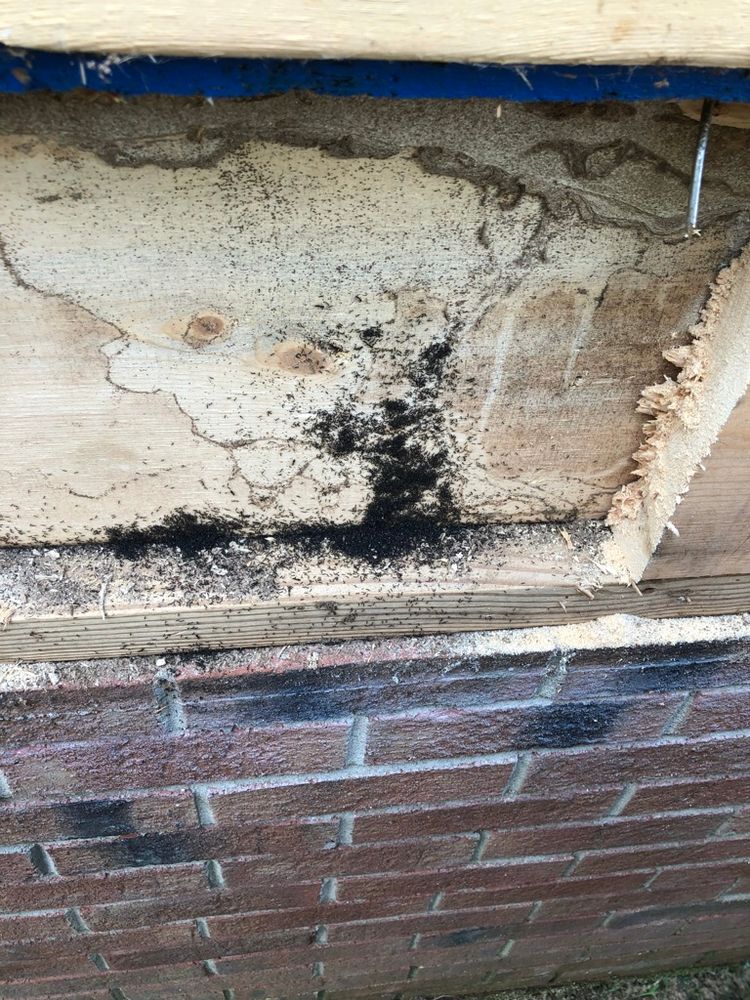 All Photos for Top Plate Construction in Clayton, NC