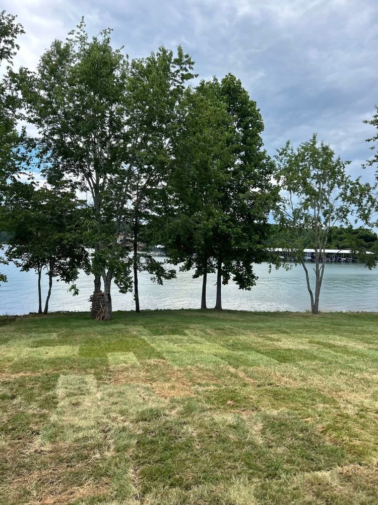 Landscaping for MountainScapes in Vonore, TN