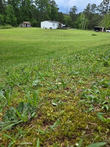 All Photos for ACE Lawn Care of Georgia LLC in Gainesville, GA