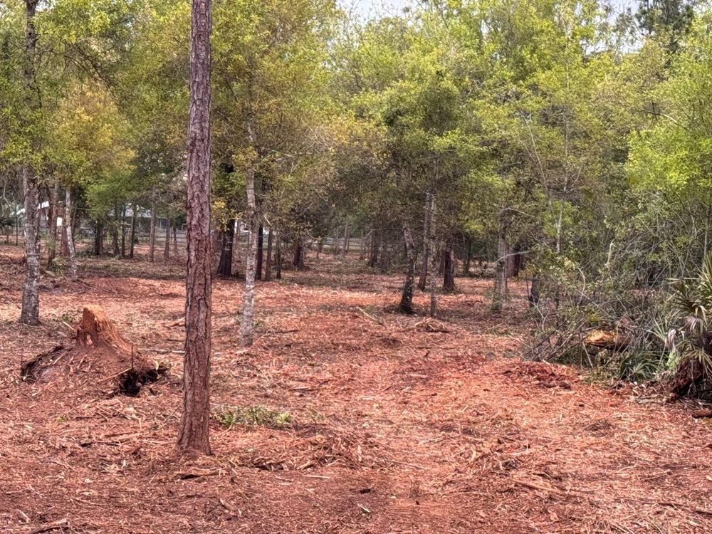 All Photos for McLeran in Naples, FL