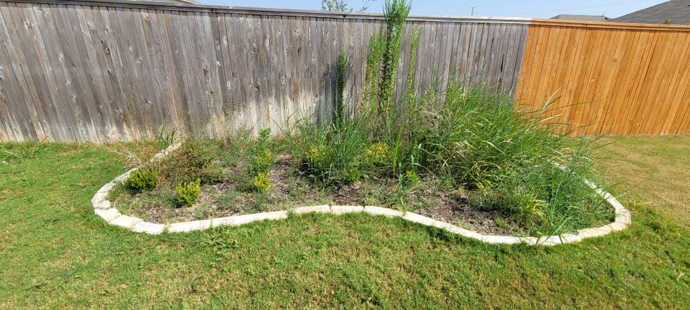 All Photos for Texican JLS in Manor, TX