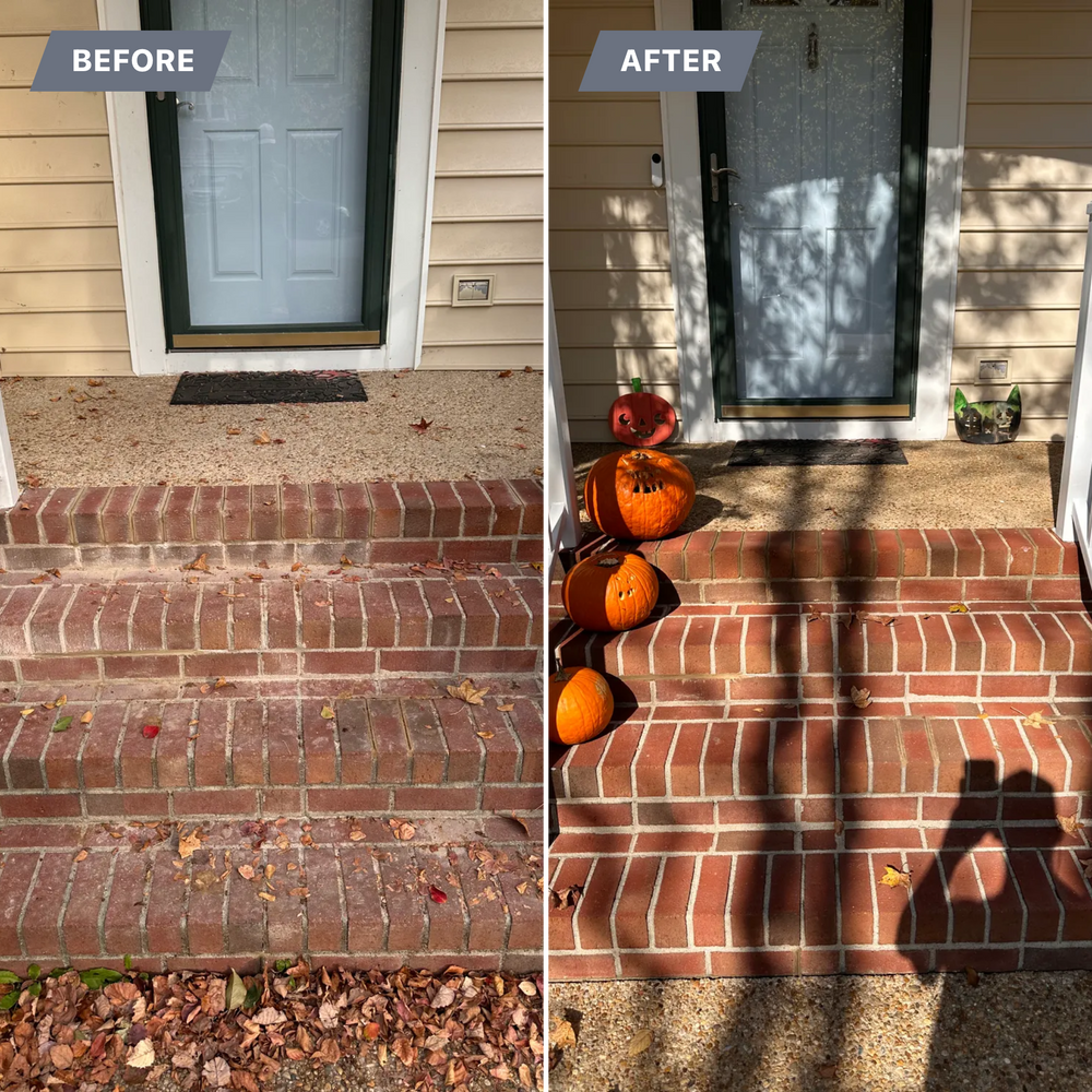 All Photos for LeafTide Solutions in Richmond, VA