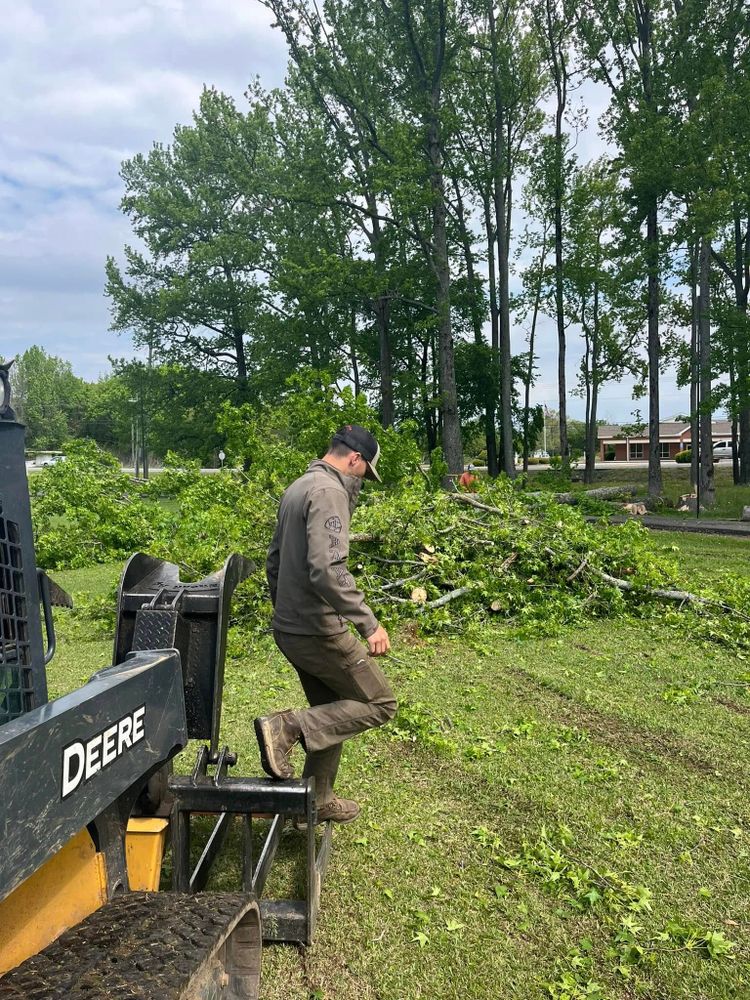 Tree Removal for Big Rock Tree Removal LLC in Boaz, AL