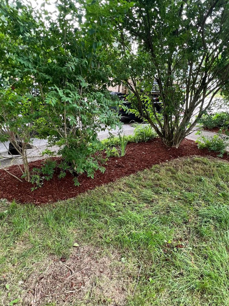 All Photos for Bishop’s Property Maintenance in Franklin, VT