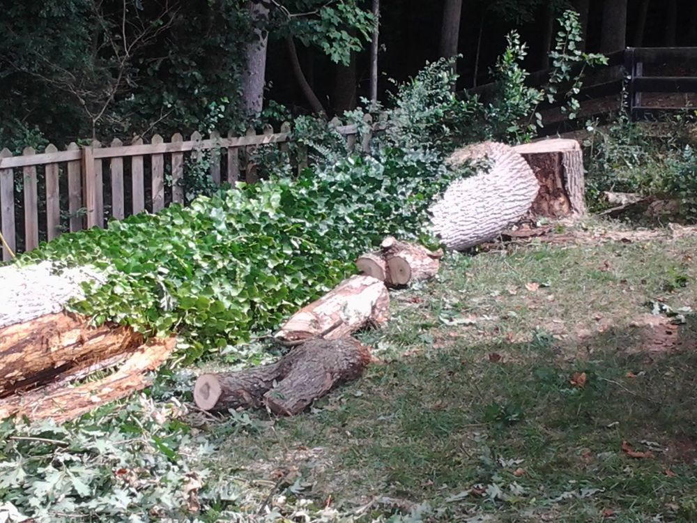 Tree Services for Wofford's Grading Clearing and Landscaping in Milton, GA