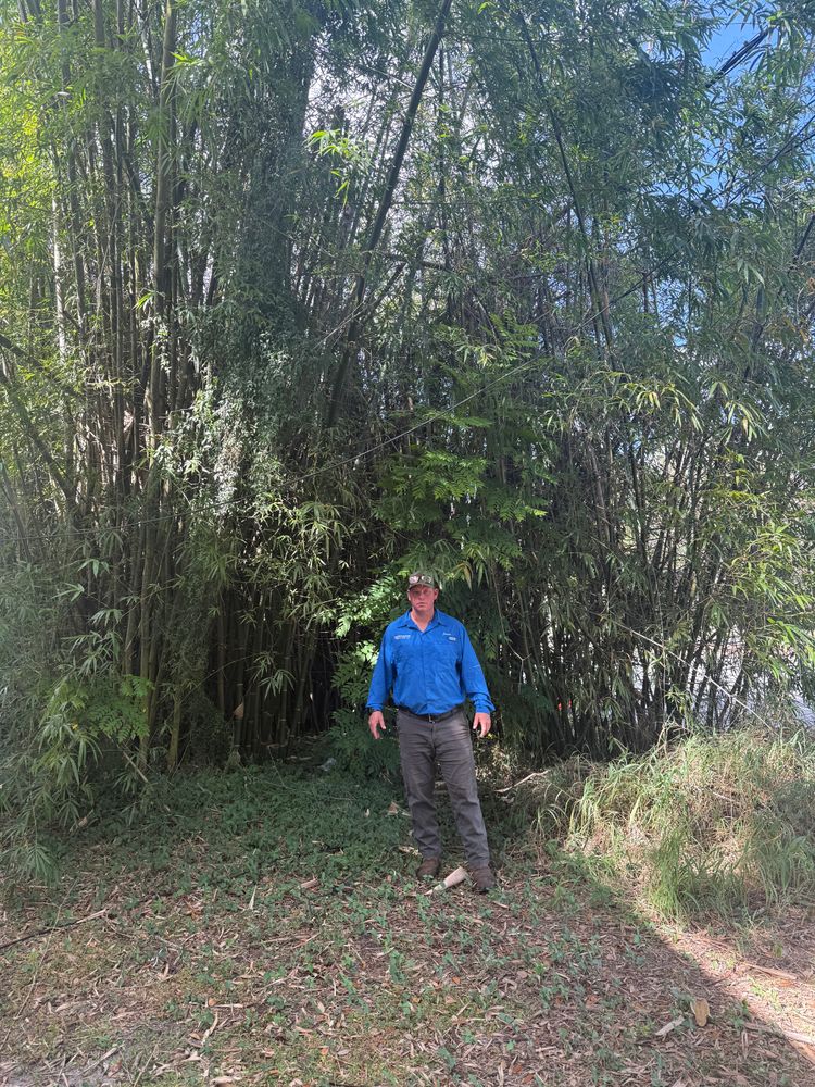 All Photos for Amerigrown Tree And Lawn in Apopka, FL