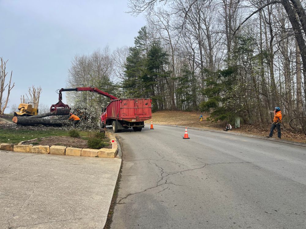 All Photos for Lucky’s Tree Removal and Landscape Services in Knoxville, TN