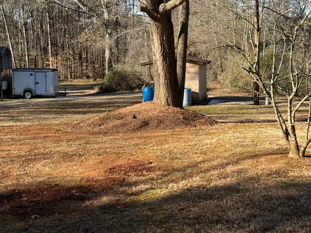 All Photos for America's Top Pick Lawn & Landscaping in Gastonia, NC