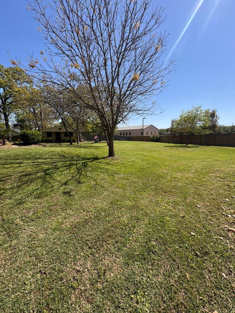 All Photos for Mora’s Lawn Services in Crowley,  TX