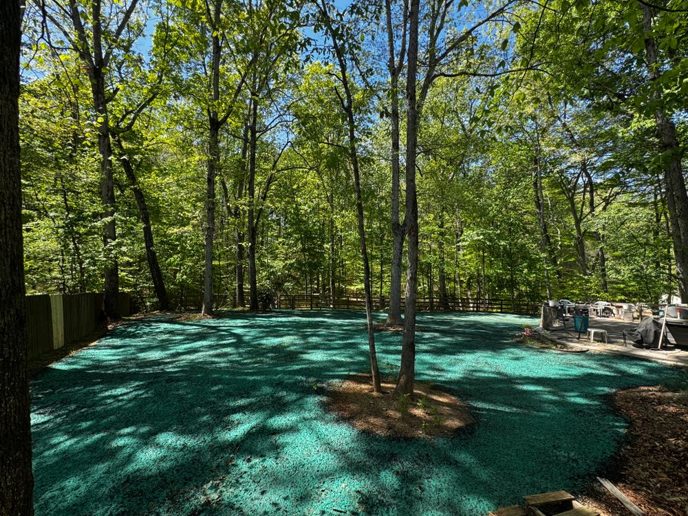All Photos for Deeply Rooted Lawns – Hydroseeding & Sod Installation Services in Winder, GA
