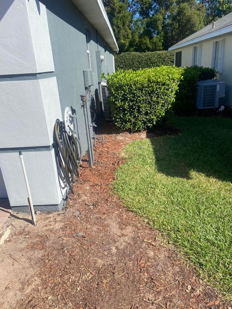 Fall and Spring Clean Up for Efficient and Reliable Tree Service in Lake Wales, FL