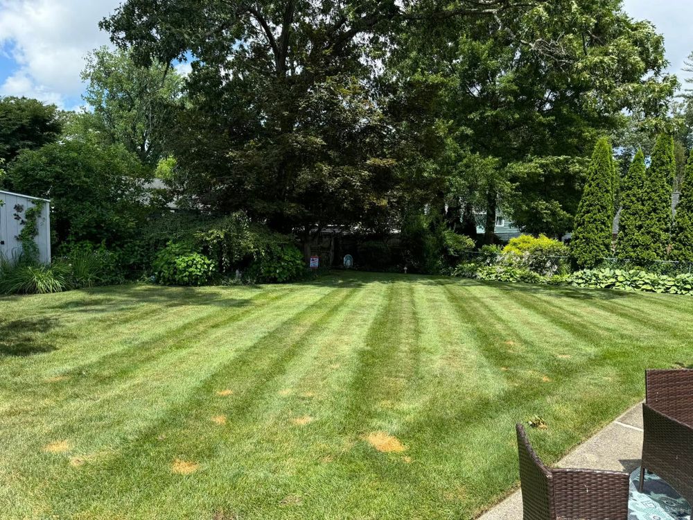 All Photos for Adams Landscaping in Springfield, MA