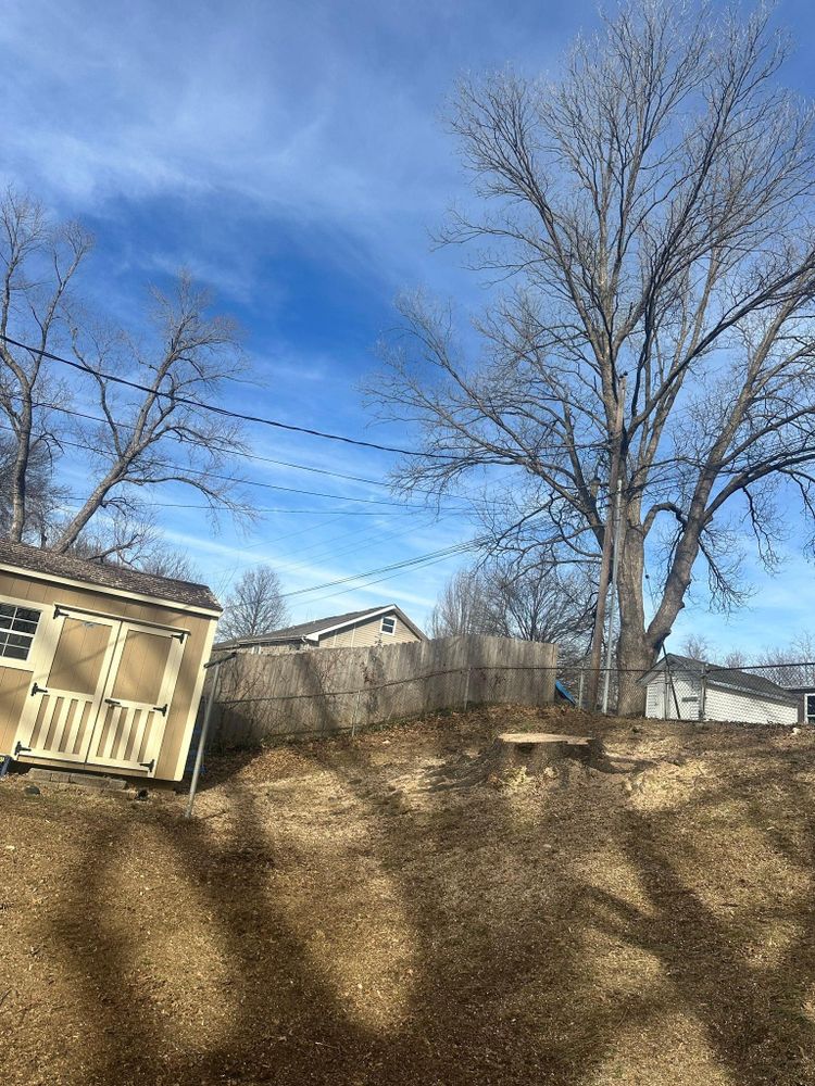 All Photos for Cross Family Tree Service in Kearney, MO