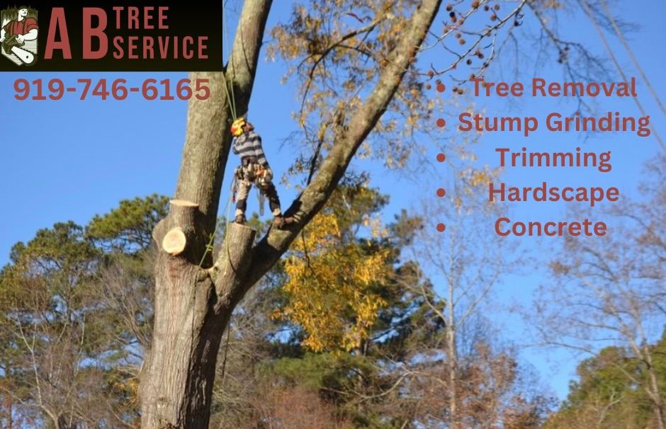 All Photos for AB Tree Service in Raleigh, NC