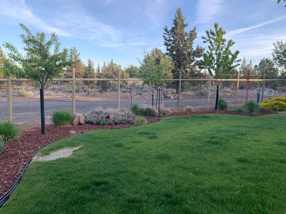 Farm and Ranch Fencing for All ‘Round Boys in Prineville, OR