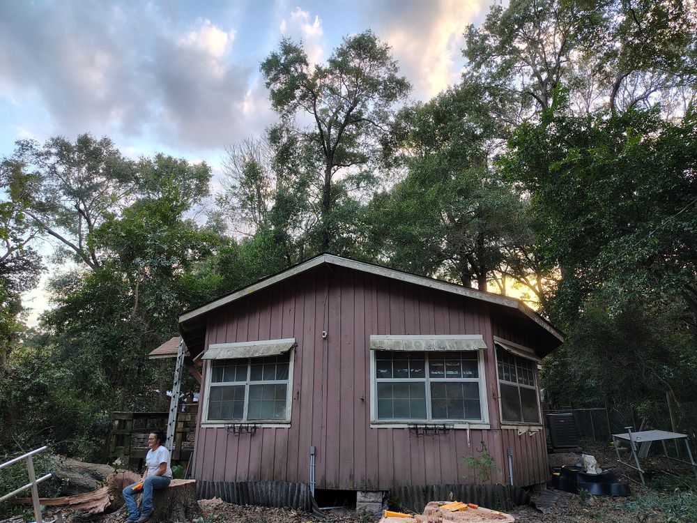 Our professional tree removal service ensures safe, efficient elimination of unwanted trees from your property, enhancing safety and aesthetics while preventing potential damage. Trust our experts for reliable and thorough tree care. for Alpers Tree Services in Cleveland, TX