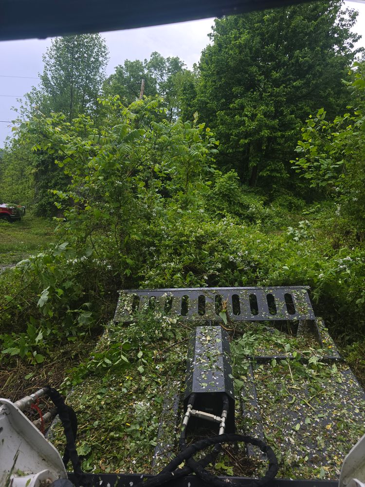 All Photos for Williams Lawn & Land in Sharps Chapel, TN
