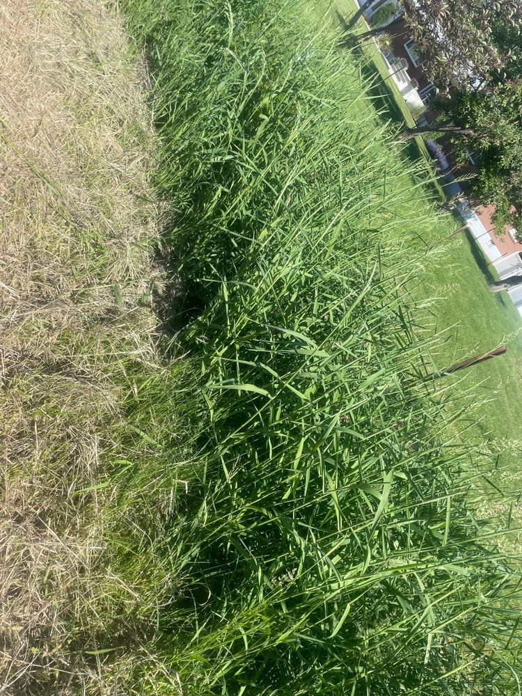 All Photos for Troy’s Handyman Services in Billings, MT