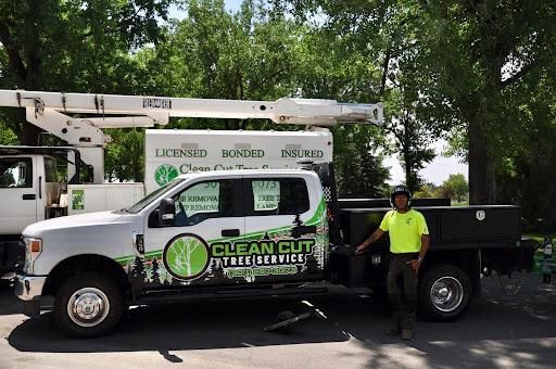 All Photos for Clean Cut Tree Service in Gillette, WY