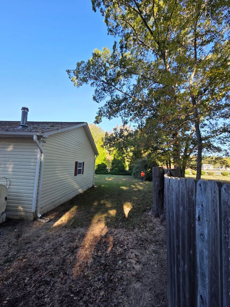 All Photos for Alexander's Tree Service  in Newburg,  MD