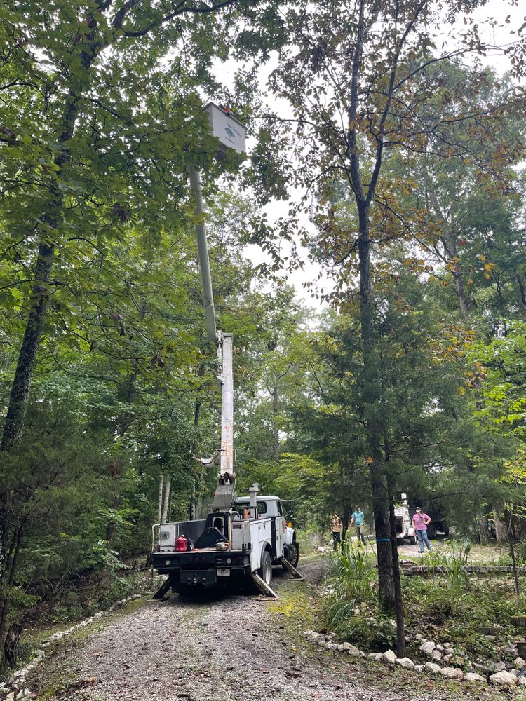 All Photos for Ross Family Tree Service LLC  in Hohenwald, TN