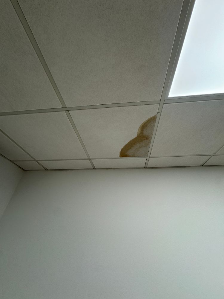 All Photos for Sanchez Paint Pros in Frederick, MD