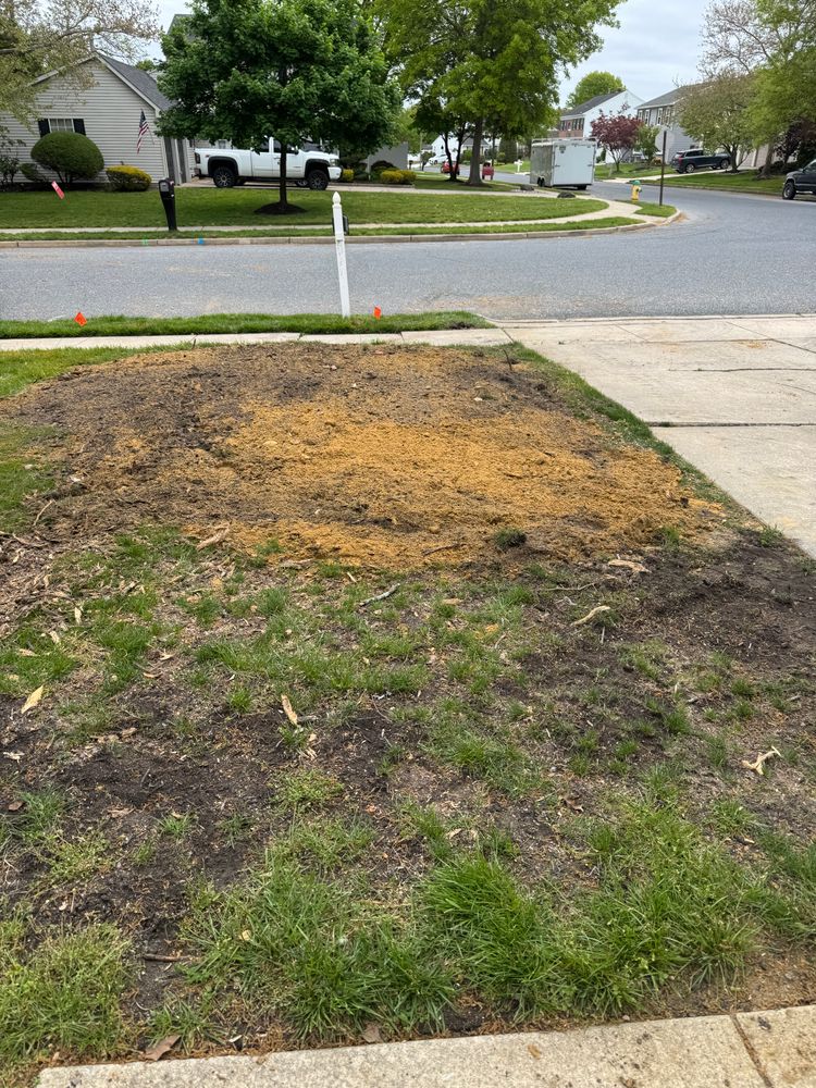 All Photos for Jersey Drain Masters in Williamstown, NJ