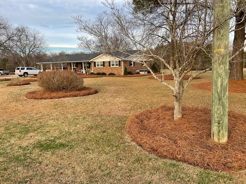 All Photos for Green Works Landscaping in Clayton, NC