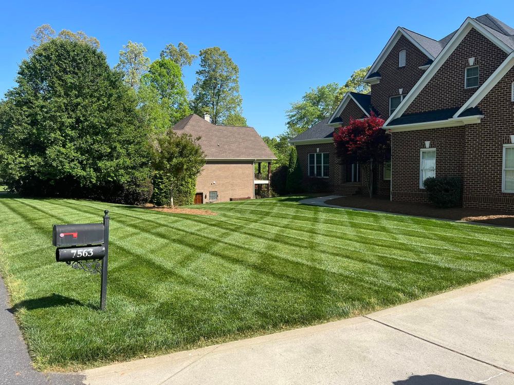 Lawn Care for Reiser Lawn Service in Denver, North Carolina