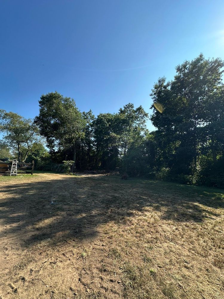 All Photos for Silver City Tree and Landscape in Taunton, MA