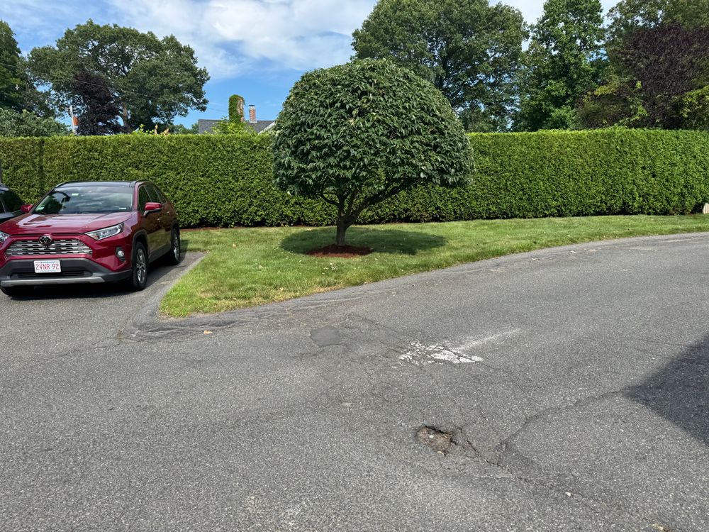 All Photos for Adams Landscaping in Springfield, MA