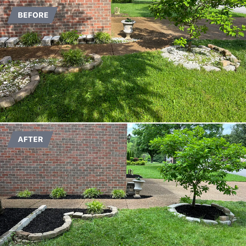 All Photos for Bellevue Lawn and Landscaping in Bellevue,  TN